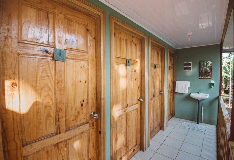 فندق صغير Drake Bay Backpackers