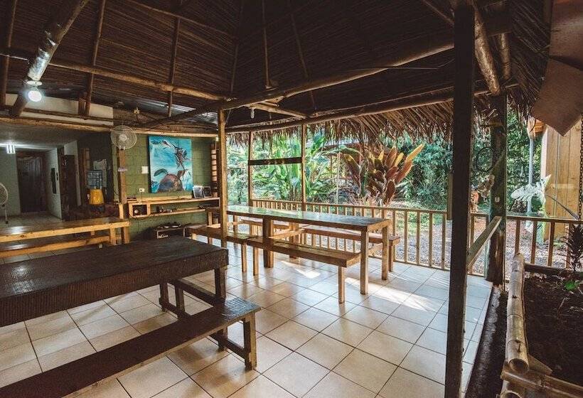 فندق صغير Drake Bay Backpackers