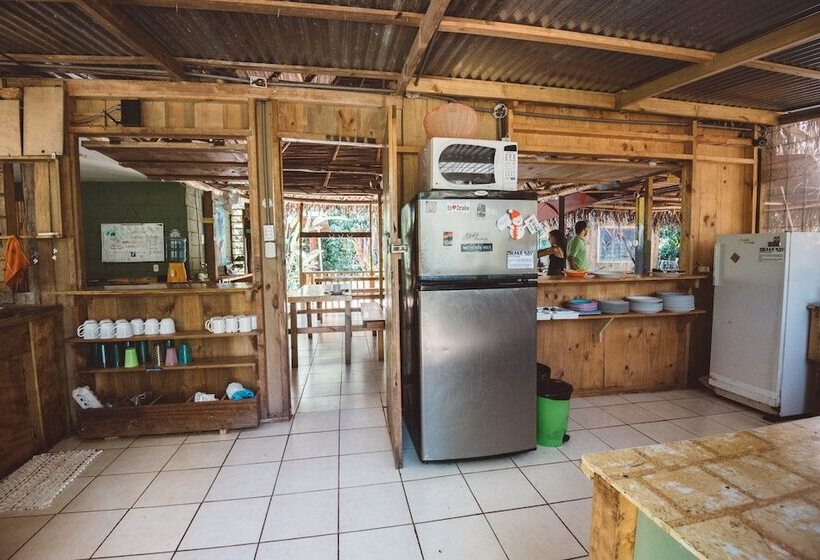 فندق صغير Drake Bay Backpackers