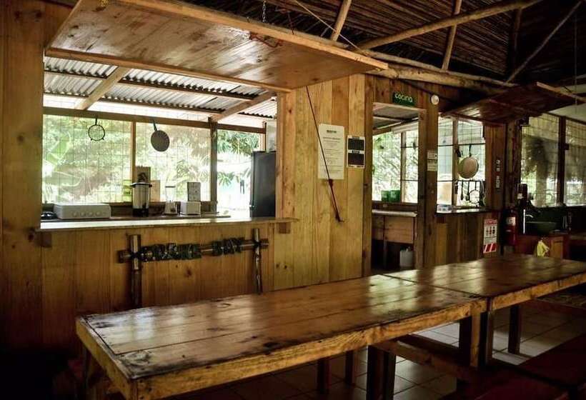 فندق صغير Drake Bay Backpackers