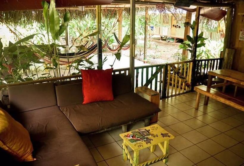 فندق صغير Drake Bay Backpackers