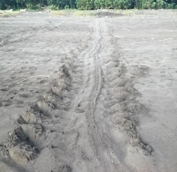 旅馆 Hospedaje Meryscar