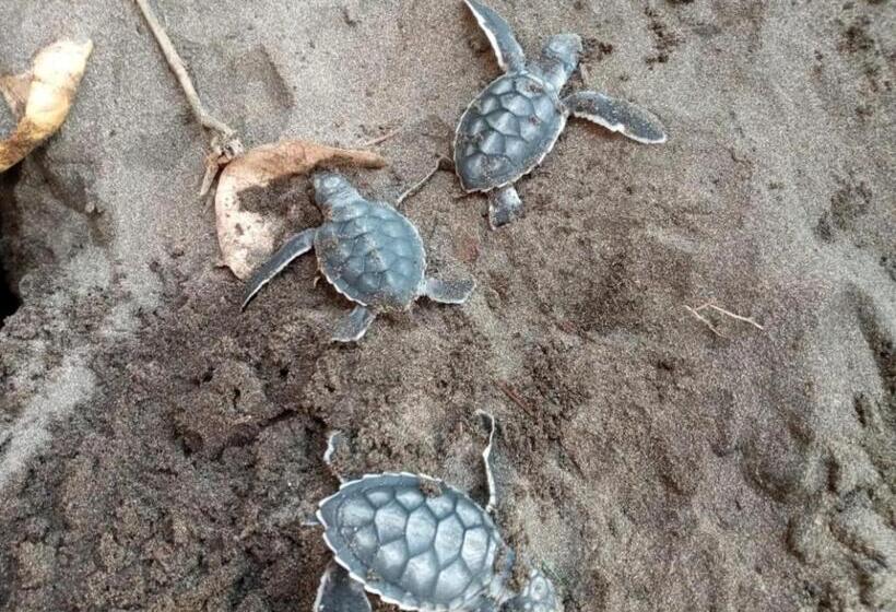 旅馆 Hospedaje Meryscar