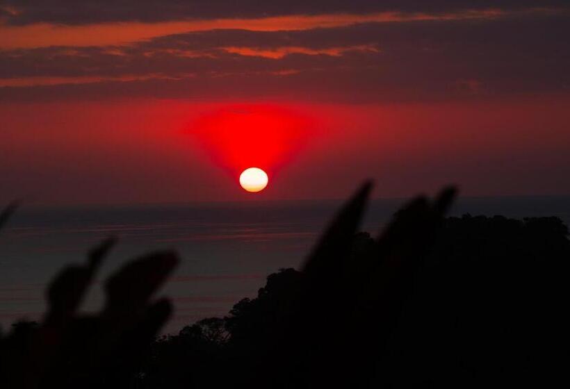 فندق صغير Pura Natura Lodge Manuel Antonio