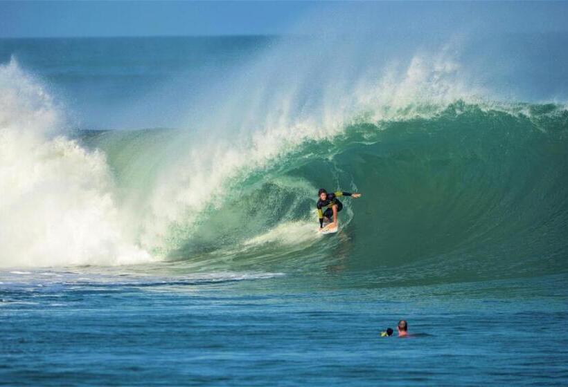 فندق صغير Waves Surf Camp Peru