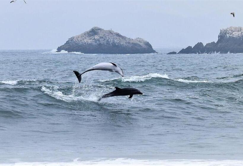 فندق صغير Waves Surf Camp Peru