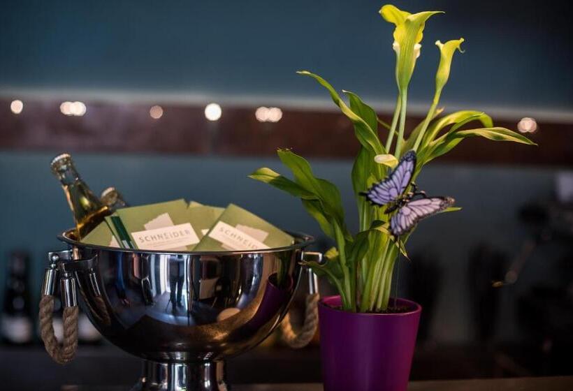 Apart Hotel Heiligenthaler Hof