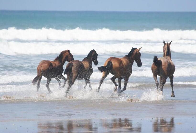Banana Beach Bungalows