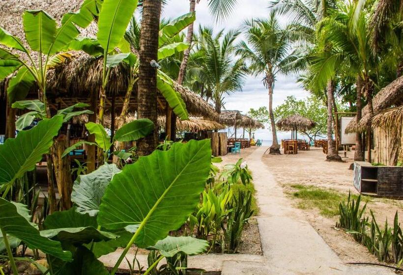 Banana Beach Bungalows