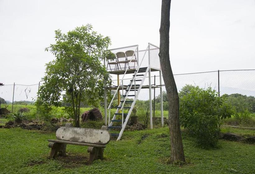 مبيت وإفطار Villa Margarita