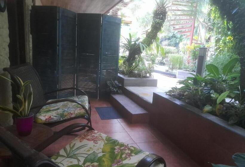 住宿加早餐  Coyaba Tropical Elegant Adult Guesthouse