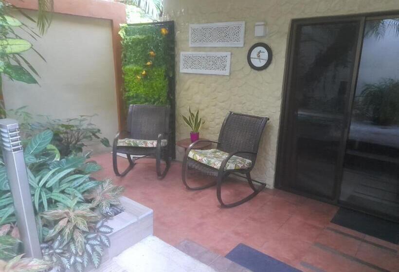 住宿加早餐  Coyaba Tropical Elegant Adult Guesthouse