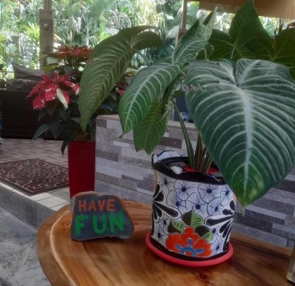 住宿加早餐  Coyaba Tropical Elegant Adult Guesthouse