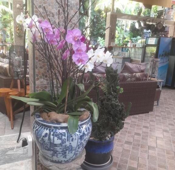 住宿加早餐  Coyaba Tropical Elegant Adult Guesthouse