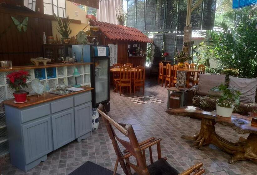 住宿加早餐  Coyaba Tropical Elegant Adult Guesthouse