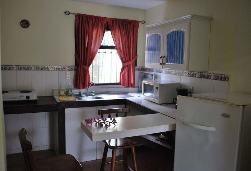 مبيت وإفطار Dos Palmas Studio Apartments