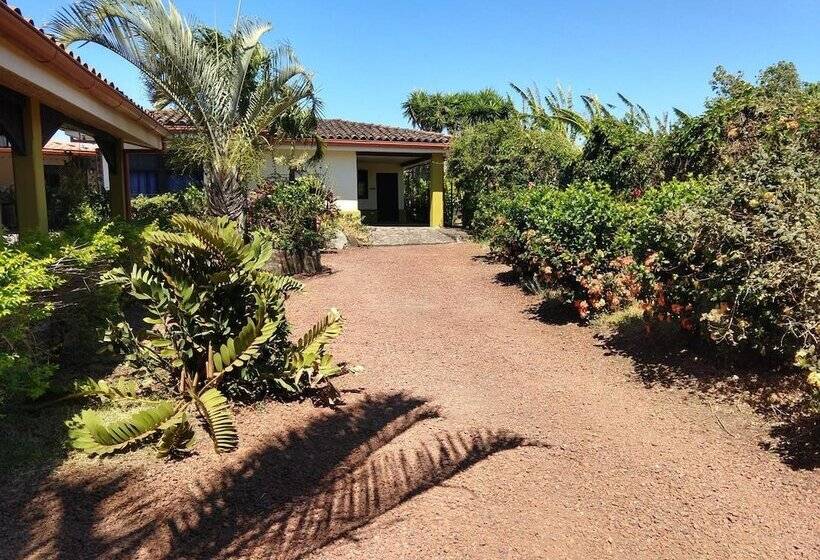 مبيت وإفطار Dos Palmas Studio Apartments