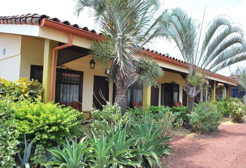 مبيت وإفطار Dos Palmas Studio Apartments