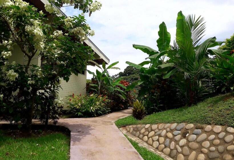 تختخواب و صبحانه Eden Tica Lodge