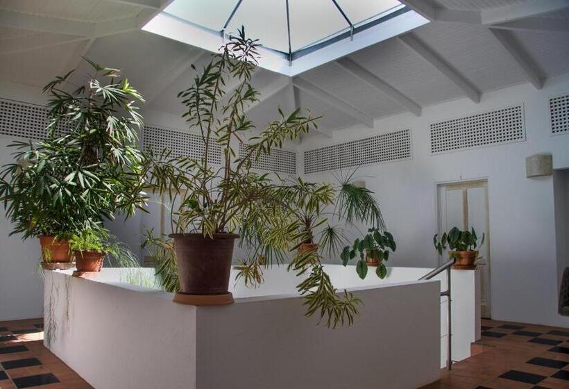 تختخواب و صبحانه Horizontes De Montezuma