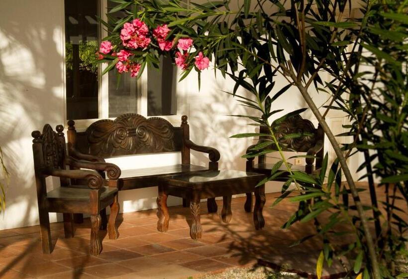 تختخواب و صبحانه Horizontes De Montezuma