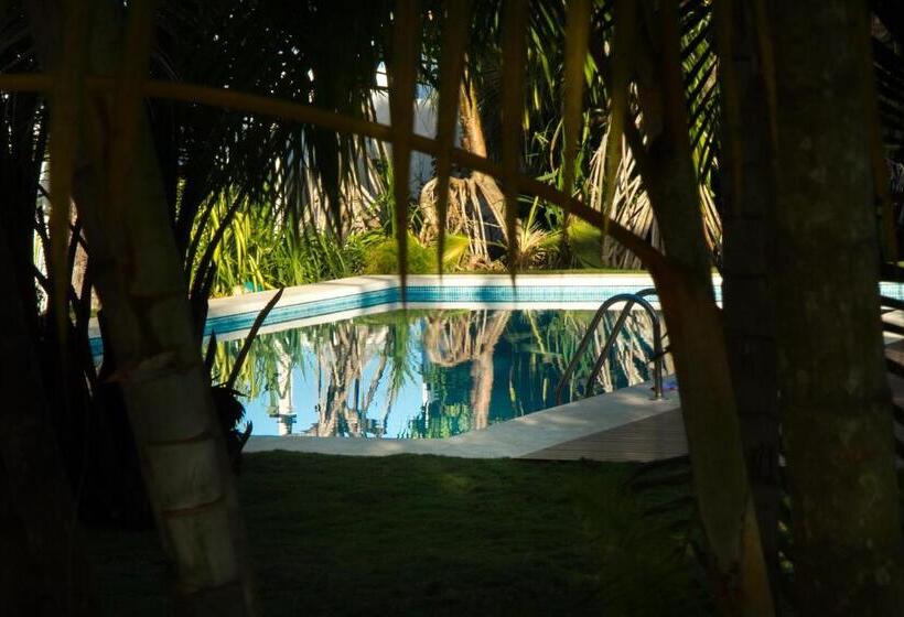 تختخواب و صبحانه Horizontes De Montezuma