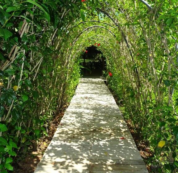 مبيت وإفطار Indigo Yoga Surf Resort