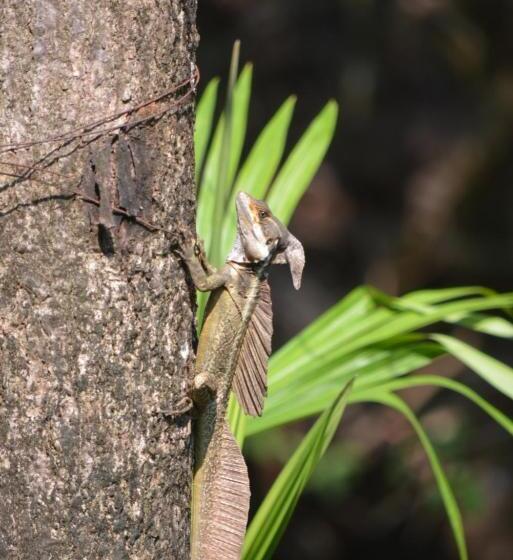مبيت وإفطار Indigo Yoga Surf Resort
