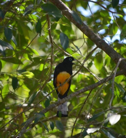 مبيت وإفطار Indigo Yoga Surf Resort