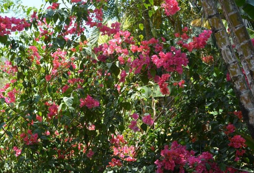 مبيت وإفطار Indigo Yoga Surf Resort