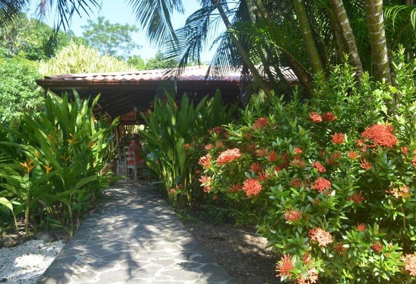 مبيت وإفطار Indigo Yoga Surf Resort