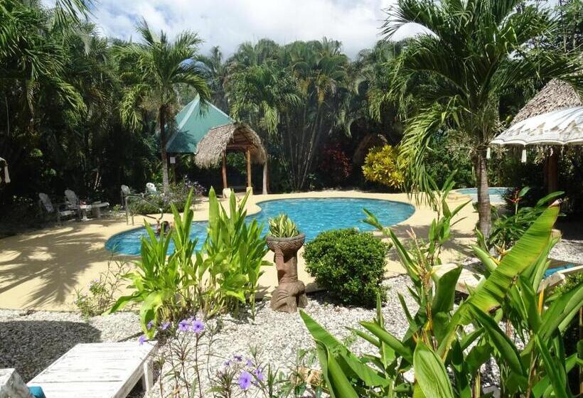 مبيت وإفطار Indigo Yoga Surf Resort