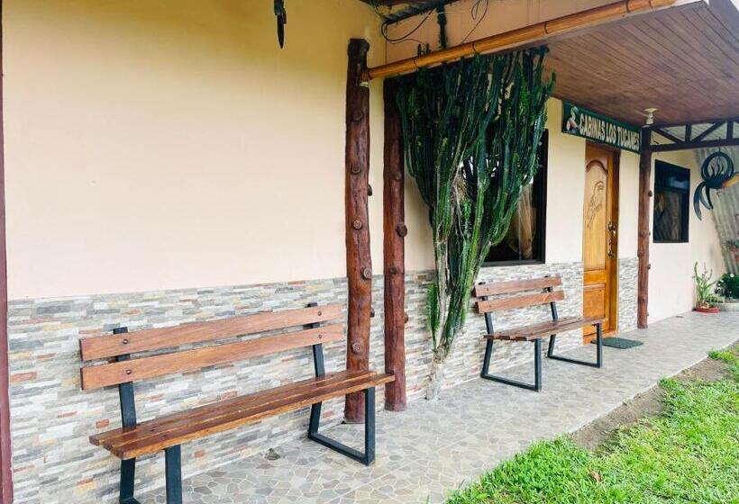 تختخواب و صبحانه Los Tucanes Lodging