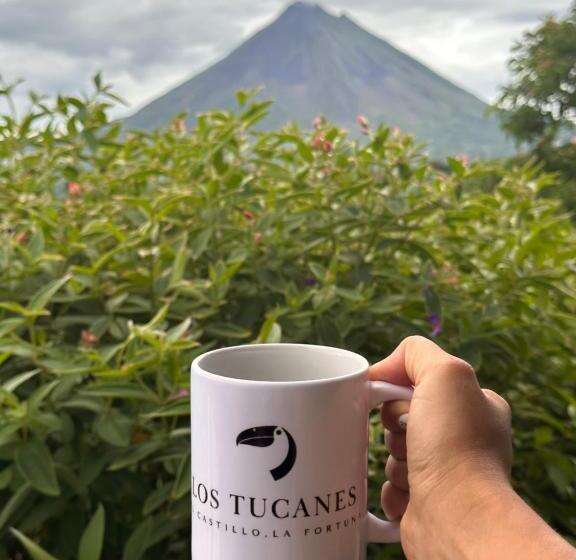 تختخواب و صبحانه Los Tucanes Lodging