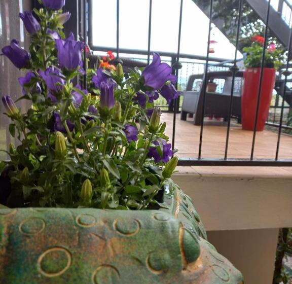 مبيت وإفطار Rancha Azul Inn