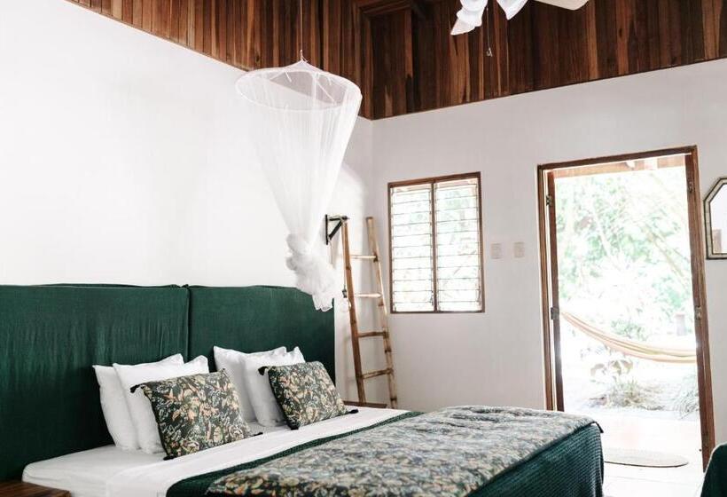 ベッドアンドブレックファースト Star Mountain Jungle Lodge   Mal Pais, Santa Teresa