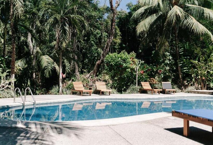 ベッドアンドブレックファースト Star Mountain Jungle Lodge   Mal Pais, Santa Teresa