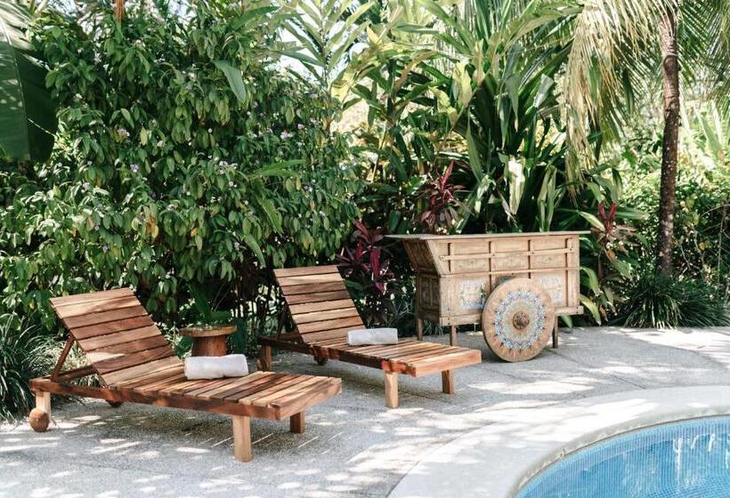 ベッドアンドブレックファースト Star Mountain Jungle Lodge   Mal Pais, Santa Teresa