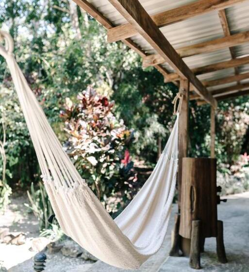 ベッドアンドブレックファースト Star Mountain Jungle Lodge   Mal Pais, Santa Teresa