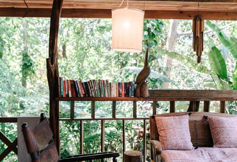 צימר Star Mountain Jungle Lodge   Mal Pais, Santa Teresa