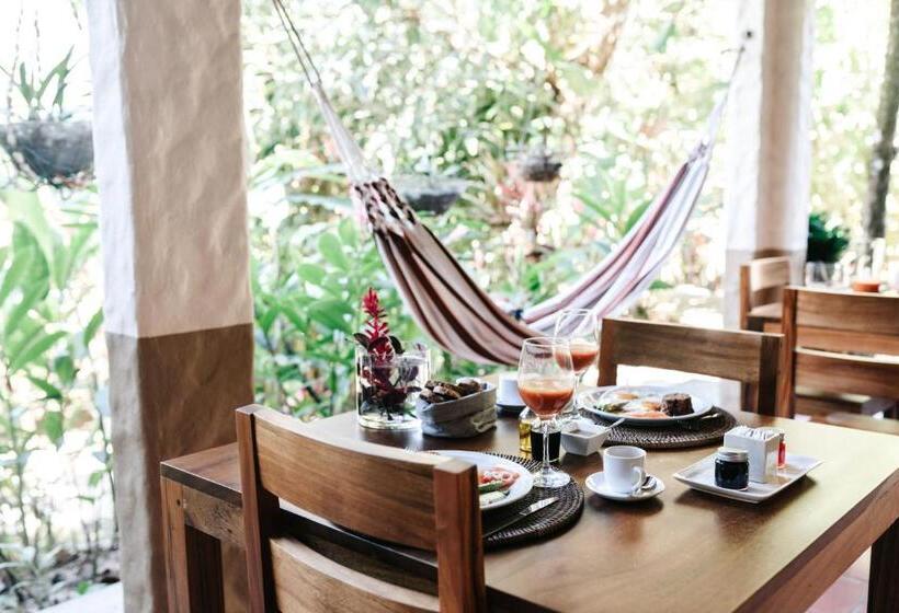 ベッドアンドブレックファースト Star Mountain Jungle Lodge   Mal Pais, Santa Teresa