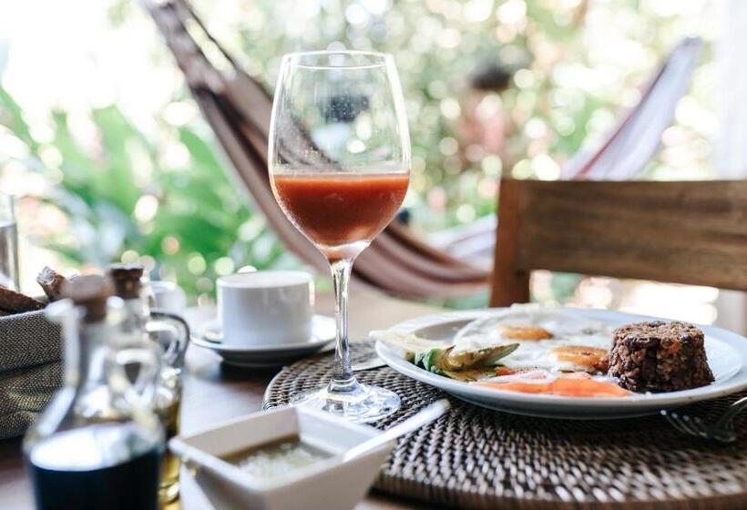 ベッドアンドブレックファースト Star Mountain Jungle Lodge   Mal Pais, Santa Teresa