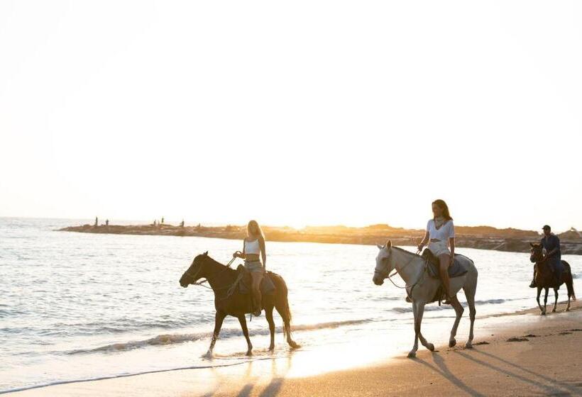 ベッドアンドブレックファースト Star Mountain Jungle Lodge   Mal Pais, Santa Teresa