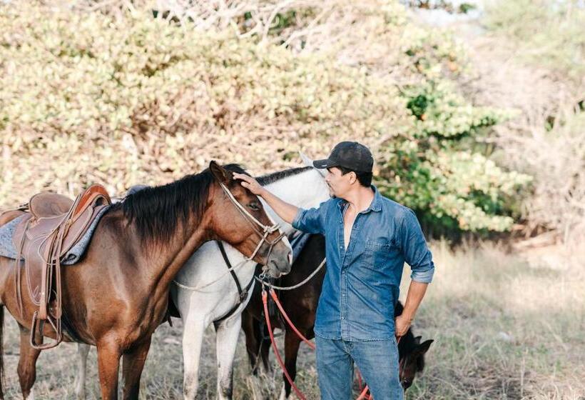 ベッドアンドブレックファースト Star Mountain Jungle Lodge   Mal Pais, Santa Teresa