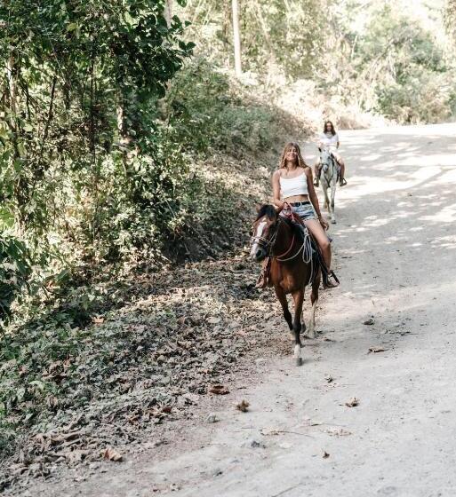 ベッドアンドブレックファースト Star Mountain Jungle Lodge   Mal Pais, Santa Teresa