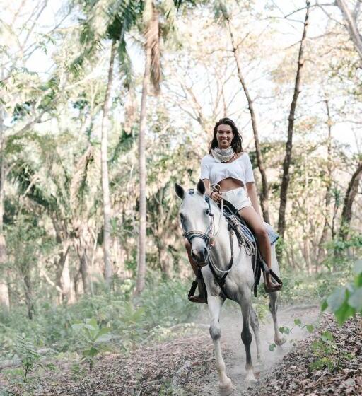 צימר Star Mountain Jungle Lodge   Mal Pais, Santa Teresa