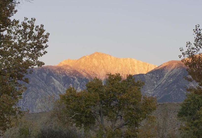 Bristlecone Motel