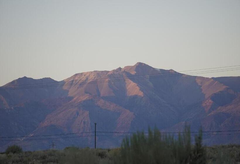 Bristlecone Motel