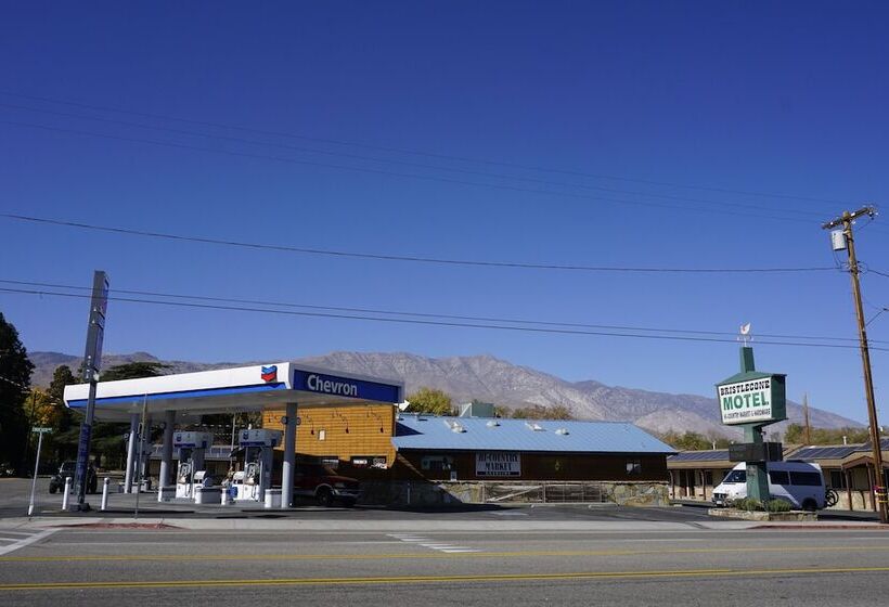 Bristlecone Motel