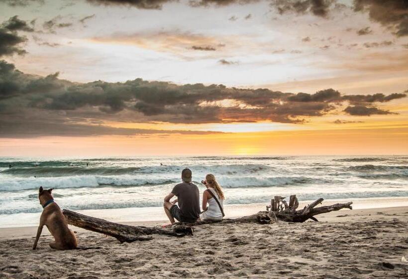 Cabinas Playa Surf Hostel